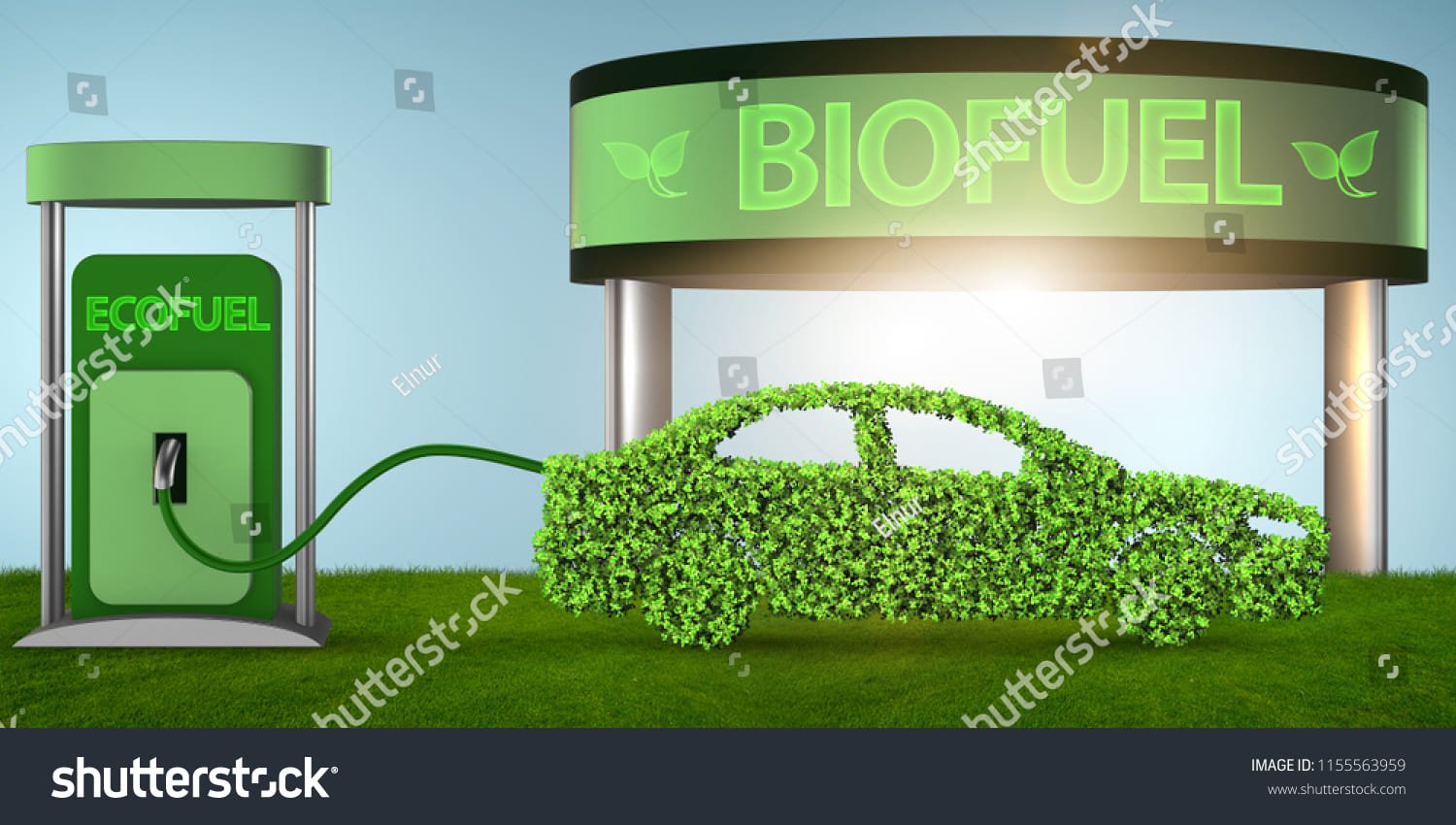 Vehicle powered by biofuel