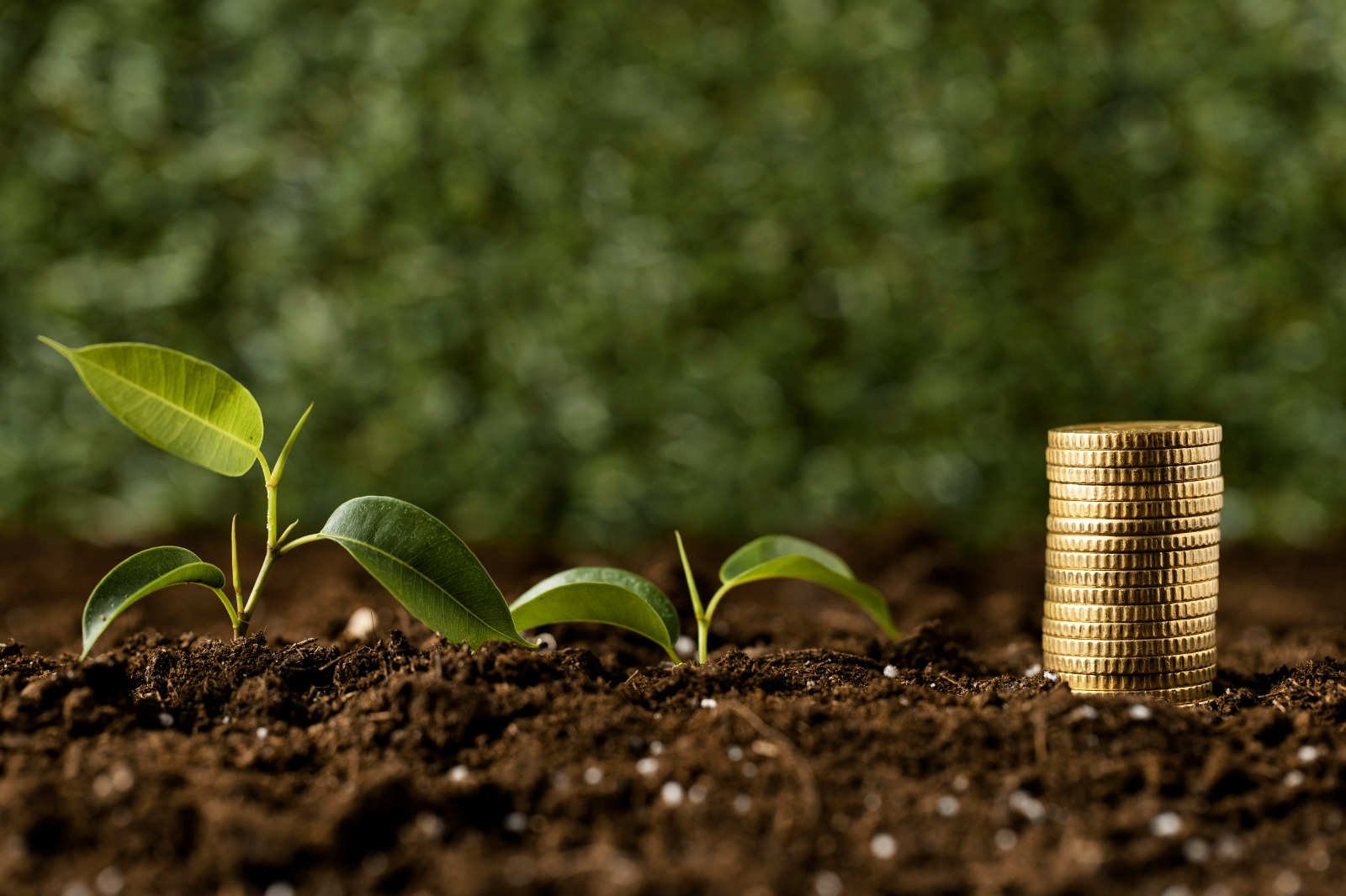Economic Growth
